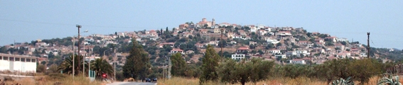 sikia_selida