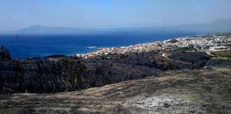 Επιδότηση ενοικίου πυρόπληκτων της Δ.Ε Βοιών