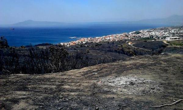 18.7.2015_Οι-πρώτες-εκτιμήσεις-των-ζημιών-από-την-πυρκαγιά-στην-Νεάπολη_1 18.7.2015_Οι-πρώτες-εκτιμήσεις-των-ζημιών-από-την-πυρκαγιά-στην-Νεάπολη_1