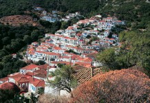 Βελανίδια Βελανίδια