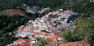 Βελανίδια