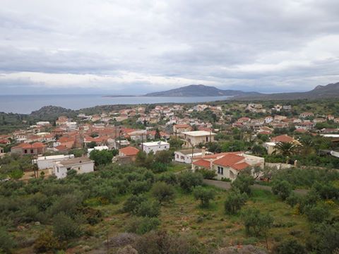 daimonia daimonia