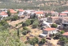 Φοινίκι