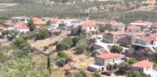 Φοινίκι