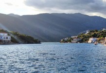 Ιέρακας Ιέρακας