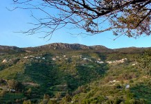 Μεσοχώρι