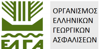 Δηλώσεις προς ΕΛΓΑ για ζημιές στα σύκα από τη βροχόπτωση της 9ης/8/2016