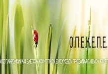 Καταστάσεις Εξισωτικής αποζημίωσης έτους 2015 Καταστάσεις Εξισωτικής αποζημίωσης έτους 2015