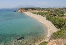 Εκμίσθωση δημοτικού περιπτέρου Μποζά Εκμίσθωση δημοτικού περιπτέρου Μποζά