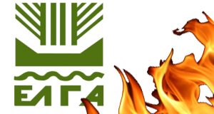 Ανακοίνωση για ζημιές από την πυρκαγιά της 23ης Ιουνίου 2025