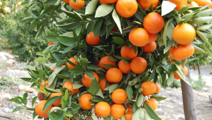 Λήψη φυλλαδίου
