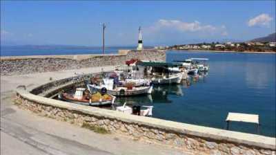 elia_limani elia_limani