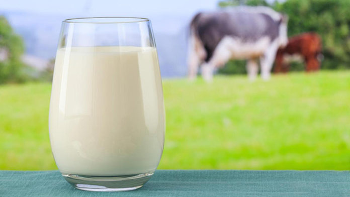 gala_milk gala_milk