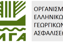 Υποβολή δηλώσεων ζημιάς για τον ΠΑΓΕΤΟ της 13-01-2026 (μόνο για ελιές) Υποβολή δηλώσεων ζημιάς για τον ΠΑΓΕΤΟ της 13-01-2026 (μόνο για ελιές)