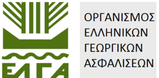 Υποβολή δηλώσεων ζημιάς για τον ΠΑΓΕΤΟ της 13-01-2026 (μόνο για ελιές)