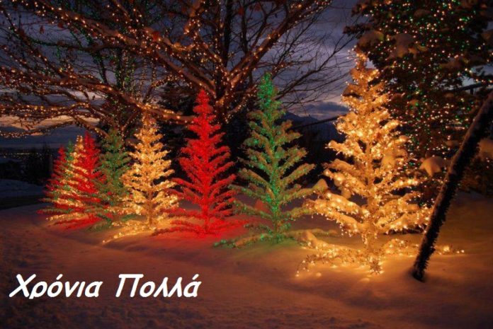 snow_trees_1 snow_trees_1