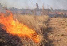 Πρόσληψη είκοσι (20) ατόμων για τις ανάγκες πυρασφάλειας έτους 2024 στο Δήμο Μονεμβασίας Πρόσληψη είκοσι (20) ατόμων για τις ανάγκες πυρασφάλειας έτους 2024 στο Δήμο Μονεμβασίας