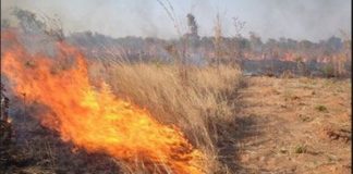 Πολύ υψηλός κίνδυνος πυρκαγιάς στο Δήμο Μονεμβασίας την Δευτέρα 23 Αυγούστου