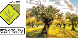 Προκήρυξη θέσης γραμματέα-διαχειριστή στον Αγροτικό Ελαιουργικό Συνεταιρισμό Μεταμόρφωσης