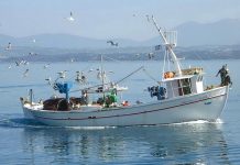 Πρόσκληση για τη Δράση 1.1.2 «Επενδύσεις στα αλιευτικά σκάφη χωρίς να αυξάνεται η αλιευτική τους ικανότητα» Αρχική Σελίδα