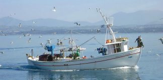 Πρόσκληση για τη Δράση 1.1.2 «Επενδύσεις στα αλιευτικά σκάφη χωρίς να αυξάνεται η αλιευτική τους ικανότητα»