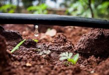 Πρόσκληση υπομέτρου 4.1 του ΠΑΑ 2014-2020 για υλοποίηση επενδύσεων που συμβάλλουν στην εξοικονόμηση ύδατος Πρόσκληση υπομέτρου 4.1 του ΠΑΑ 2014-2020 για υλοποίηση επενδύσεων που συμβάλλουν στην εξοικονόμηση ύδατος