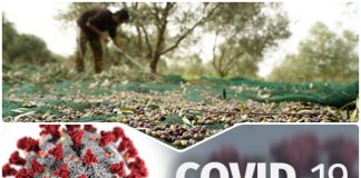 Ο Δήμαρχος ανταπαντά στη δεύτερη επιστολή σχετικά με τον χώρο καραντίνας ασθενούντων εργατών γης από τον covid19
