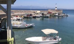 Πρόταση βελτίωσης και επέκτασης του Αλιευτικού καταφυγίου Ελαίας