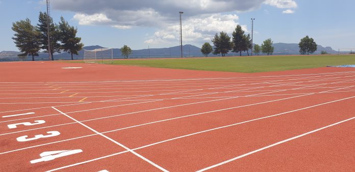stadioMolawn stadioMolawn