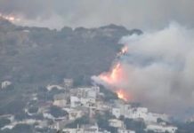 Πυροπροστασία ακινήτων με κτίσμα εντός ή πλησίον δασικών εκτάσεων Πυροπροστασία ακινήτων με κτίσμα εντός ή πλησίον δασικών εκτάσεων