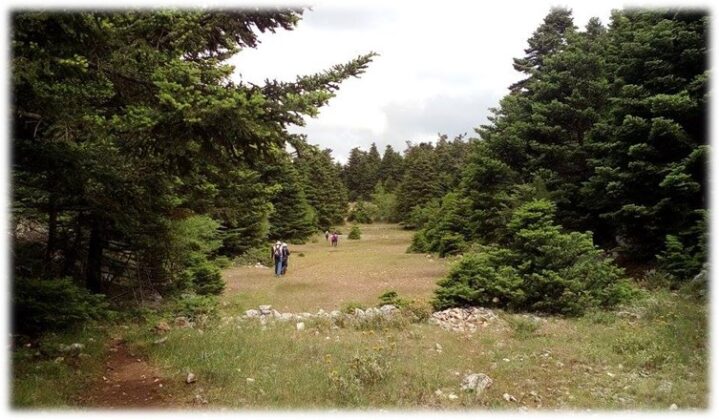 Στο Εθνικό Δίκτυο Μονοπατιών 41 μονοπάτια του Δήμου Μονεμβασίας