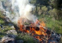Από την 1η Νοεμβρίου επιτρέπεται η καύση ξερών χόρτων ή κλαδιών υπό προϋποθέσεις & μέτρα. Από την 1η Νοεμβρίου επιτρέπεται η καύση ξερών χόρτων ή κλαδιών υπό προϋποθέσεις & μέτρα.